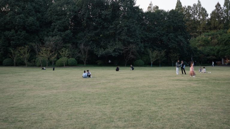 Dive into the Thrilling World of Ezra Arena: Where Fantasy Cricket Meets Global Contests!